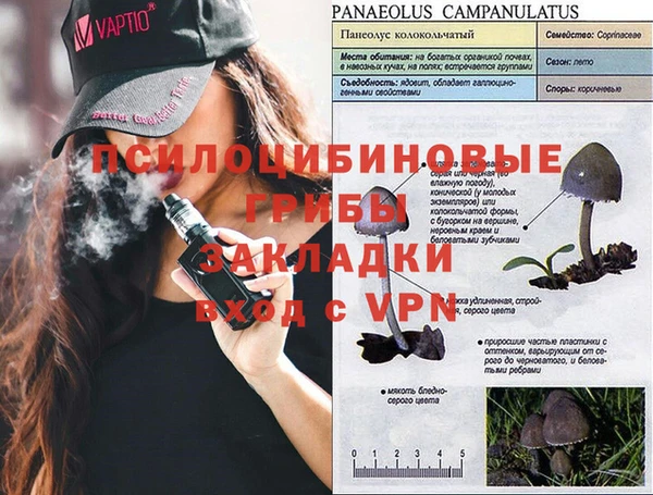 прущие крисы Каменск-Шахтинский