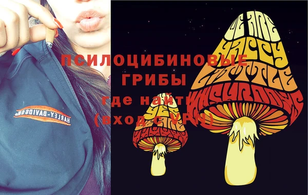 прущие крисы Каменск-Шахтинский