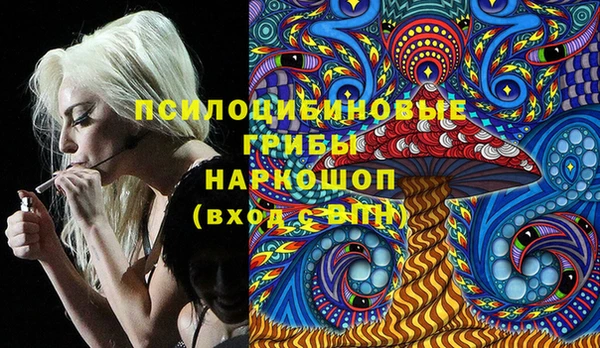 прущая мука Каменногорск